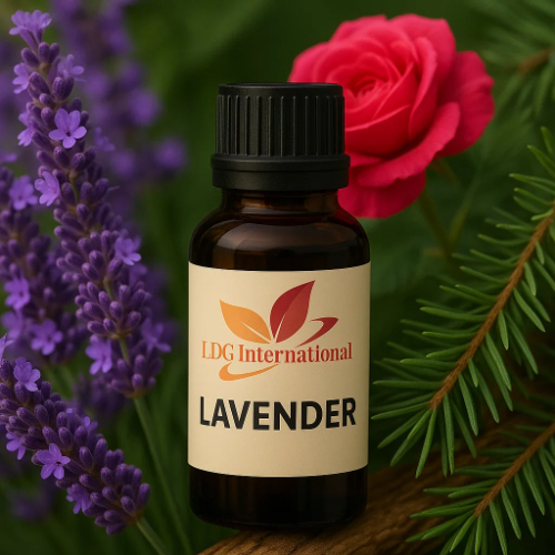 Lavender