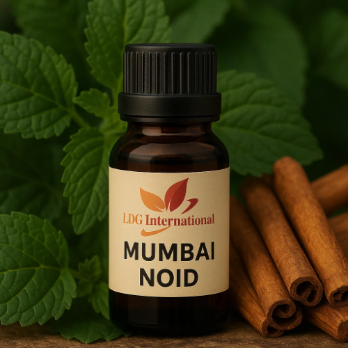 Mumbai Noid