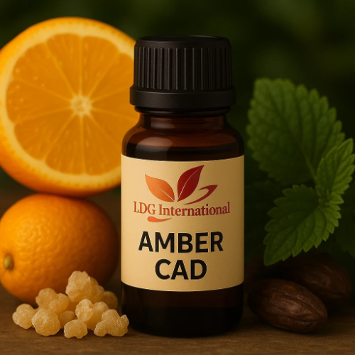 Amber CAD