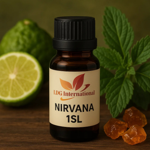Nirvana 1SL