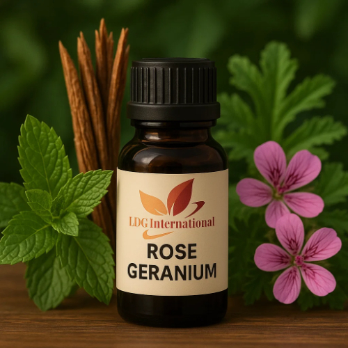 Rose Geranium