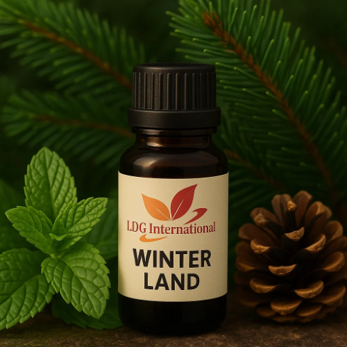 Winter Land
