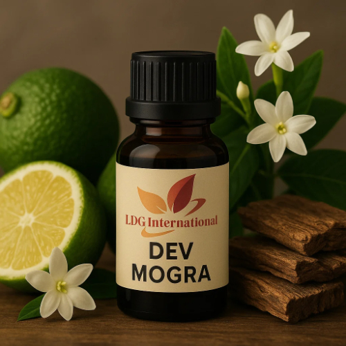 Dev Mogra