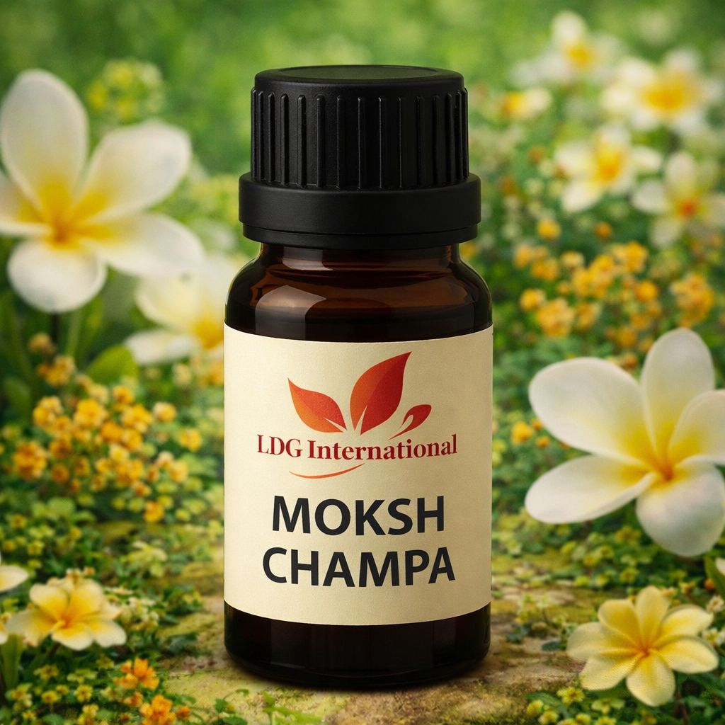 Moksh Champa #21516