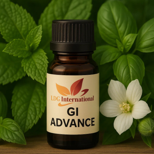 GI Advance